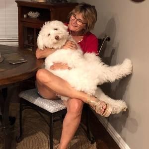 Meet your Posher, Suzy